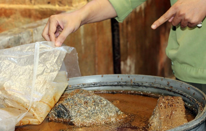 Giòi bò lúc nhúc trong ụ chứa mắm của cơ sở Minh Truyền.