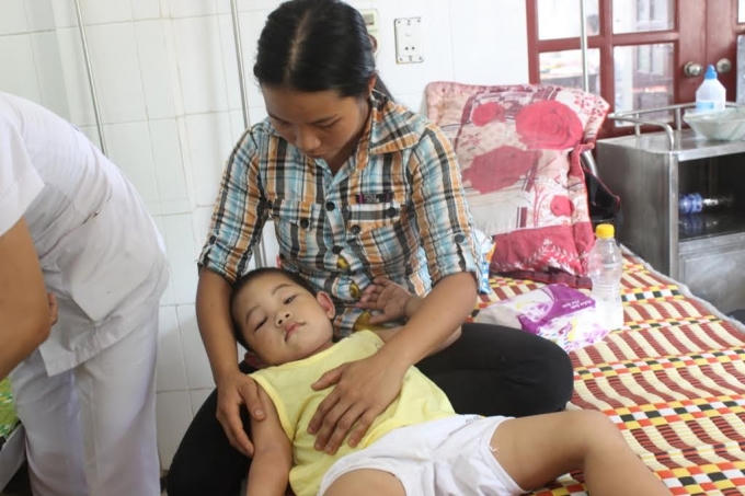 17 học sinh c&ugrave;ng c&ocirc; gi&aacute;o mầm non bị ong rừng tấn c&ocirc;ng