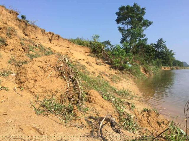 Bờ sông Ngàn Sâu tại xã Sơn Long cho thấy, tình trạng sạt lở sẽ còn diễn biến phức tạp
