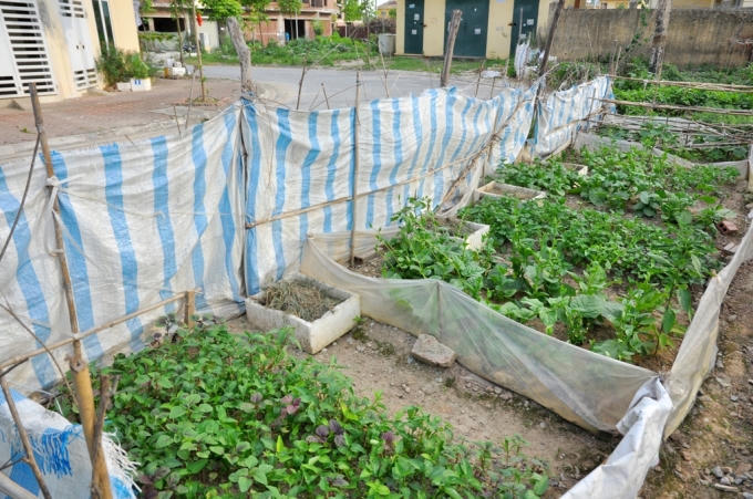 Hay cẩn thận quây bạt, rào chắn như thế này.