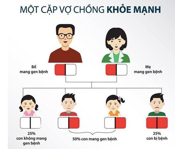 2 vợ chồng cùng mang gen lặn Thalassemia có nguy cơ sinh ra nhiều đứa trẻ bị bệnh (Vietnamnet.vn)