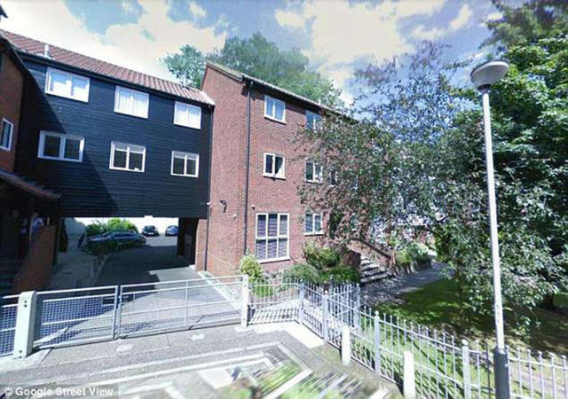 Sau 3 lần vi phạm lệnh cấm, Heather đã bị bắt giam.