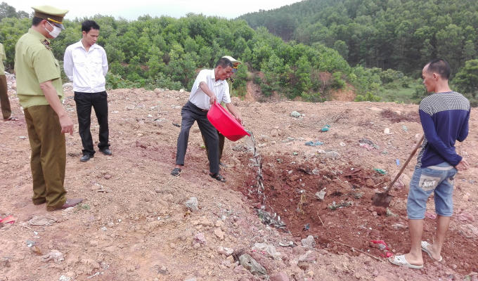 Cơ quan chức năng tiêu hủy số cá giống không rõ nguồn gốc.