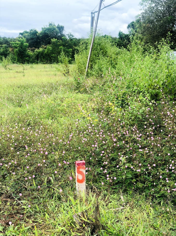 Các cột mốc được cắm thẳng hàng trên đất để phân chia thửa.