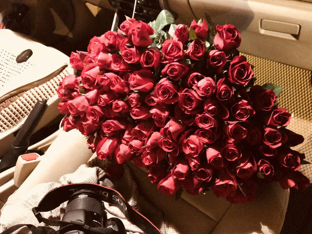 Hoa hồng Mộc Ch&acirc;u to v&agrave; đẹp.