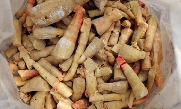 Măng bị đổi màu, mốc, thối trong kho ở Hàn Thuyên.