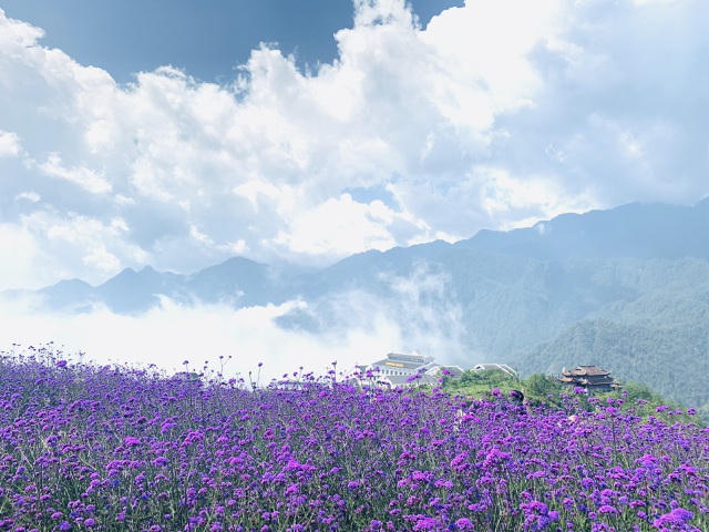 Hiện Sa Pa đang thực hiện chương trình kích cầu du lịch với sự tham gia của hơn 80 đơn vị, doanh nghiệp, nhà hàng, khách sạn. Du khách đến Sa Pa thời điểm này sẽ nhận được những ưu đãi chưa từng có. Giá phòng các cơ sở lưu trú 3-5 sao giảm sâu từ 10-65%, giá xe du lịch giảm 20-30%, nhà hàng ăn uống từ 10-20%.