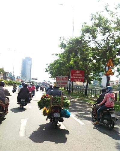 “Rau sạch” 10.000 đồng/ 3 bó xuống đường