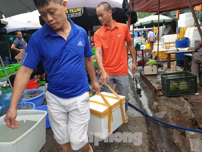 Sau khi xem xét, lựa chọn 1 vòng, du khách bắt đầu rút hầu bao "đầu tư" mua hải sản. "Chợ này giá cả phải chăng, không thách giá trên trời như các nơi khác, mà hải sản lại tươi ngon dại gì không mua" - Anh Lâm du khách đến từ Hà Nội chia sẻ.