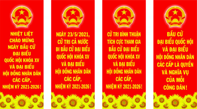 binh thuan san sang tham gia bau cu