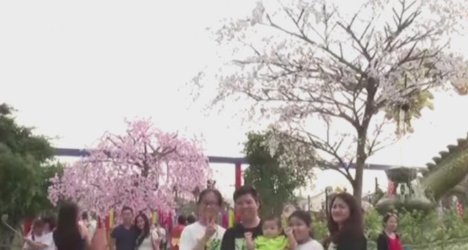 Người dân nô nức tham quan.