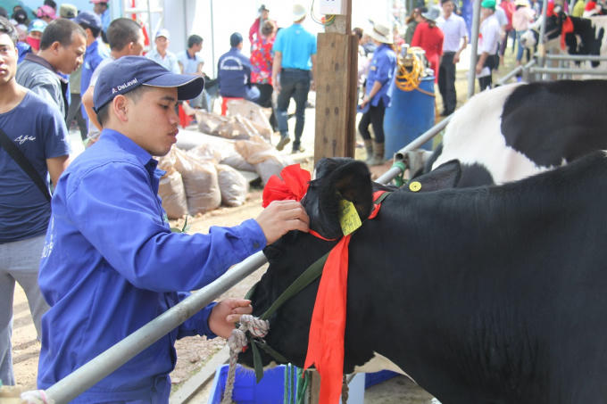 Cuộc thi hoa hậu độc nhất vô nhị ở Việt Nam