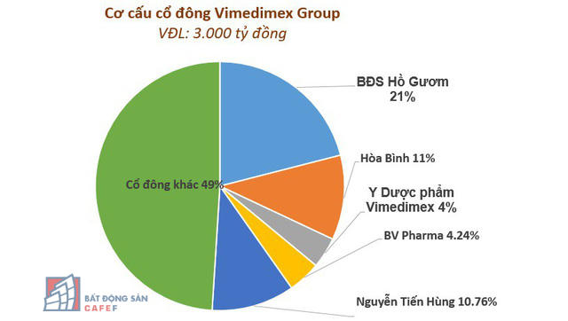 vimedimex-group-codong-1560759183008622645300-15607595548251757608648