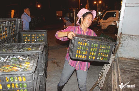 Không chỉ kéo hàng, họ còn kiêm luôn công việc chất từng thùng hàng lên xe sau quãng đường kéo vô cùng mệt nhọc.