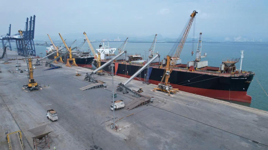 Tàu hàng trọng tải gần 40.000 tấn làm hàng dăm gỗ xuất khẩu tại Cảng Cái Lân (Quảng Ninh) sáng mùng 3 Tết Bính Ngọ.