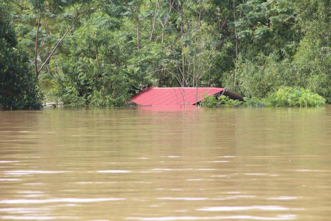 Người dân Thạch Định sẽ còn phải sống cảnh lều lán, cầm cự trên đồi cao nhiều tuần nữa cho đến khi nước lũ rút hết. (Ảnh: Anh Thắng)