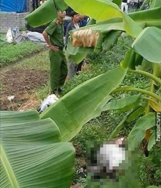 Lực lượng chức năng nhanh chóng có mặt ở hện trường.