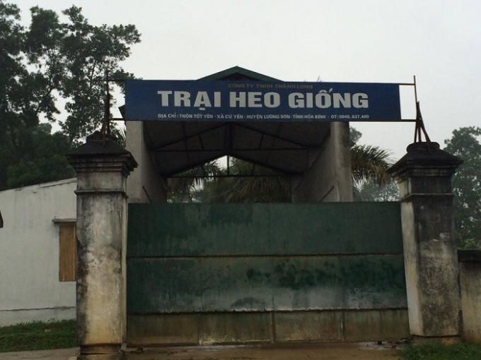 Trại heo giống Thành Long đóng kín của, không cho người lạ vào trang trại.