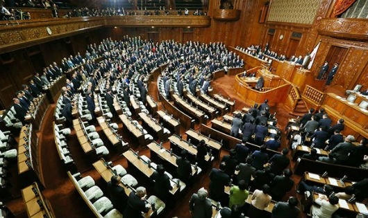 Thượng viện Nhật Bản phê chuẩn TPP sau khi hiệp định được thông qua tại Hạ viện vào ngày 10/11. (Ảnh: AFP).