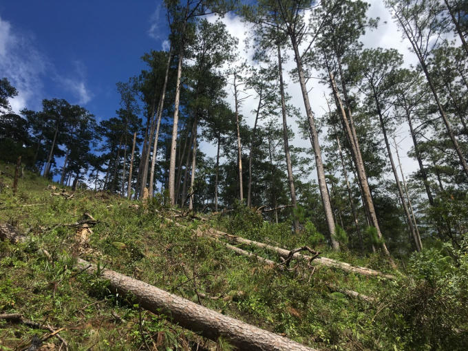 IMG_1605236232033_1606553371553