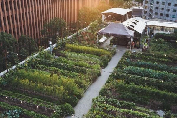 Nh&agrave; h&agrave;ng n&agrave;y c&oacute; một&nbsp;vườn rau tr&ecirc;n s&acirc;n thượng&nbsp;cung cấp thực phẩm sạch cho nh&agrave; bếp.