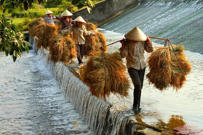 Đường về - Ảnh: Ngô Văn Nhung
