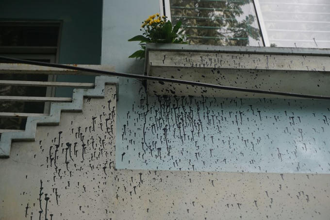 Hiện tượng này xuất hiện kể từ sau khi người dân viết đơn phản ánh việc quán nhậu gần đó gây mất trật tự.