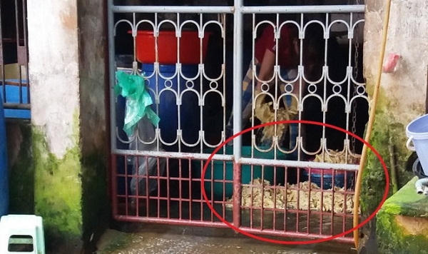 Cảnh chế biến măng trên nền gạch bẩn thỉu. Ảnh: Doãn Hòa.