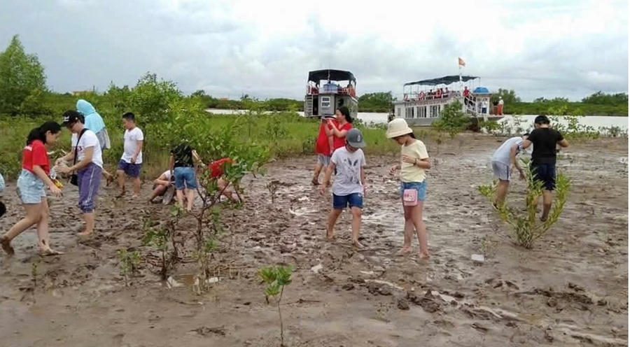 Vườn quốc gia Xuân Thuỷ nhiều năm trở lại đây đang hút khách. Ảnh: VQG Xuân Thuỷ