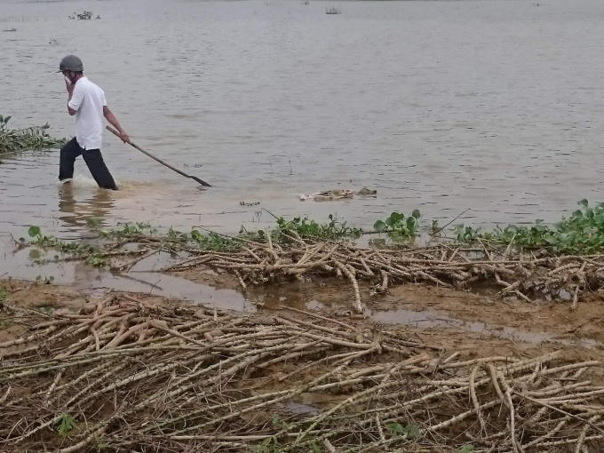 Người dân kéo bao tải vào bờ kiểm tra...