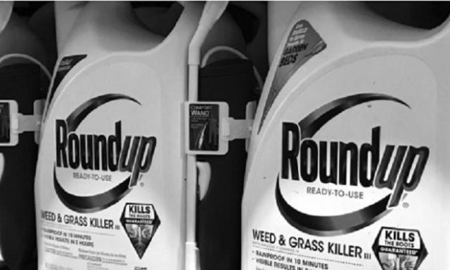 Glyphosate, loại chất diệt cỏ bị nghi kỵ toàn cầu
