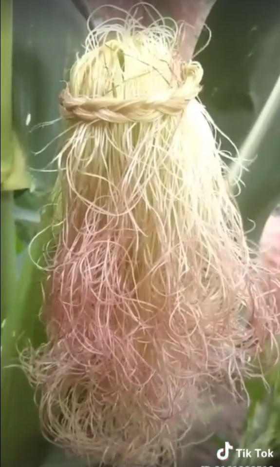 Kiểu tóc công chúa sang chảnh