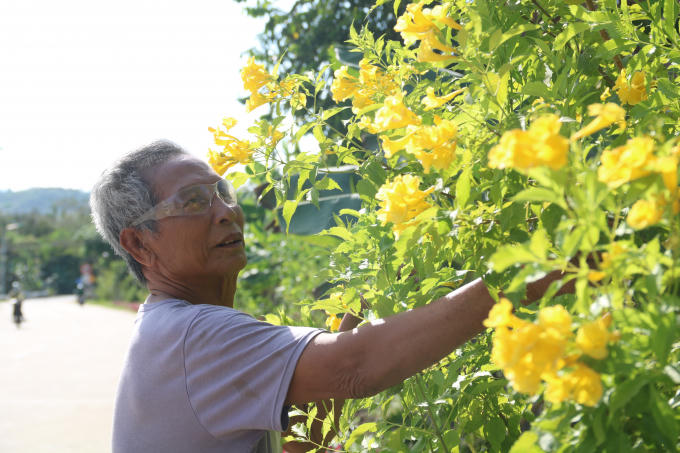 hinh 7 (2)