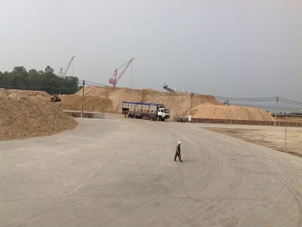 Công ty Hoài Nam và Sao Bắc rất bất bình trước việc, UBND tỉnh Quảng Ninh thu hồi đất của hai doanh nghiệp để giao cho doanh nghiệp khác.