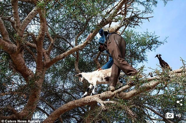 Sự thật cay đắng về điểm sống ảo thu h&uacute;t triệu du kh&aacute;ch