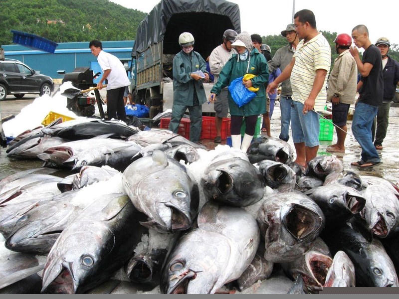 Trung Quốc miễn thuế hơn 30 mặt hàng thủy sản Việt Nam - ảnh 1