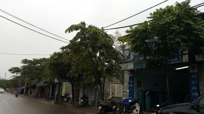 Khu đất thực hiện dự án.
