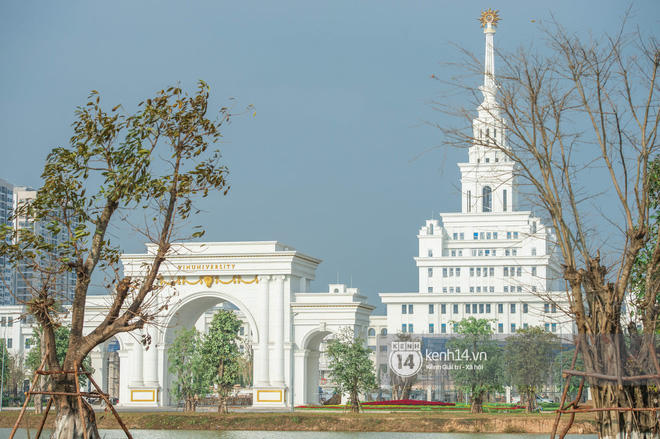 Anh25.