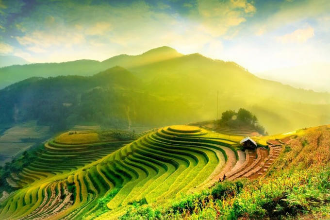 Ruộng bậc thang Taleng.