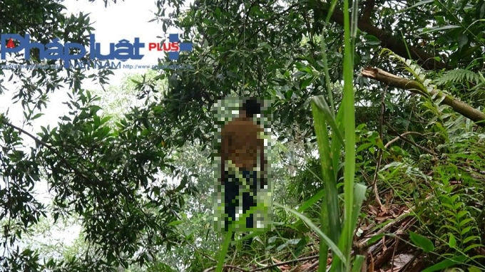 Xác nam thanh niên treo lơ lửng trên ngọn cây keo.