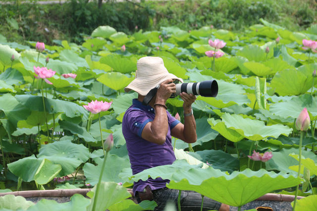 Nhiều thợ ảnh hăng say lao động bất chấp thời tiết nắng nóng.