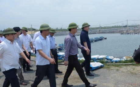 Phó Thủ tướng Trịnh Đình Dũng thị sát tình hình cá biển chết tại Hà Tĩnh (Ảnh: Nguyên Dũng).