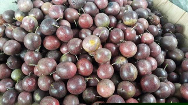 Trung Quốc siết mạnh, khối h&agrave;ng tỷ USD của Việt Nam đổ dốc