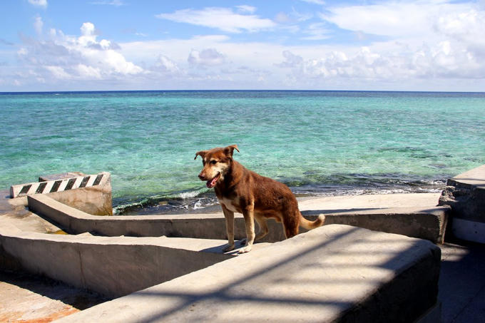 Đội đặc nhiệm đêm tỉnh hơn ngày ở Trường Sa