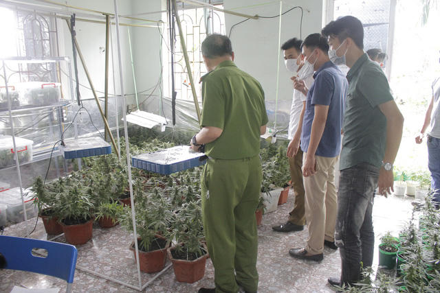 Hành vi phạm tội của đối tượng bị công an quận Hồng Bàng phát hiện và bắt giữ.