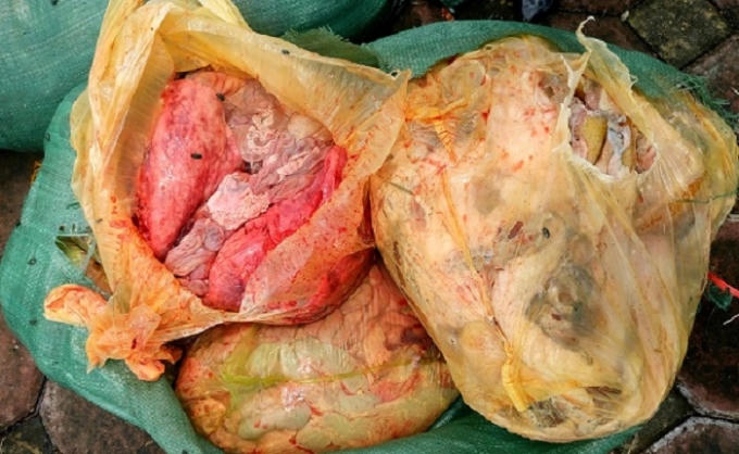 Nam Định: Bắt giữ xe tải chở 600kg nội tạng không rõ nguồn gốc