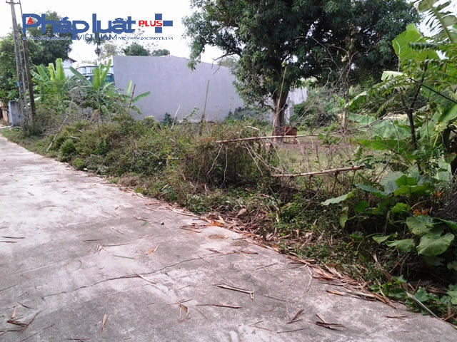 Dù mua trúng đất đấu giá nhưng 2 năm nay hồ sơ ông Định bị "găm" tại Văn phòng đăng ký đất đai huyện Bình Xuyên (Ảnh: Đào Tấn)