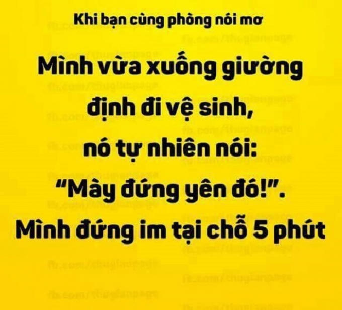 Nhiều câu nói mơ làm cho bạn cùng phòng khác tưởng nói thật. (Nguồn:Facebook).