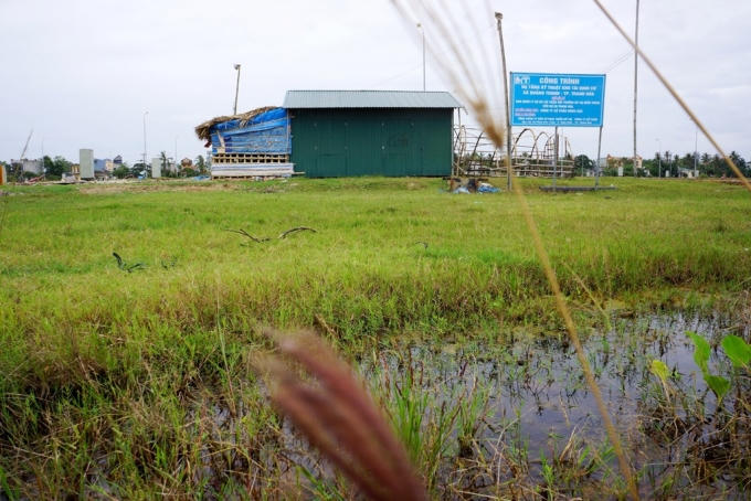Chủ đầu tư là UBND TP Thanh Hóa, đơn vị quản lý là Ban quản lý Dự án cải thiện môi trường đô thị Miền Trung – Tiểu dự án Thanh Hóa (gọi tắt là PMUTH). Dự án gồm khu dịch vụ thương mại, đất giáo dục, chung cư cao tầng, biệt thự chia lô liền kề, nhà văn hóa phố, khuôn viên cây xanh, hồ nước… Thời gian thực hiện dự án 4 năm, bắt đầu từ quý IV/2010.