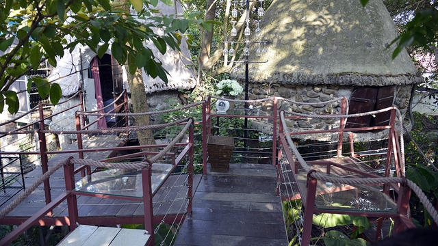 Kỳ dị nh&agrave; tr&ecirc;n... c&acirc;y
